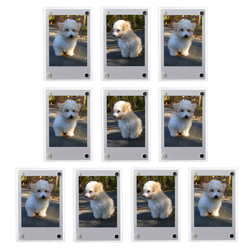 إطار صور مغناطيسي أكريليك للثل - مراجعة Instant Film Pack وسعره